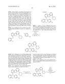 ORGANIC ELECTROLUMINESCENT MATERIALS AND DEVICES diagram and image