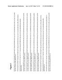 ANALOGS OF PITUITARY ADENYLATE CYCLASE-ACTIVATING POLYPEPTIDE (PACAP) AND     METHODS FOR THEIR USE diagram and image