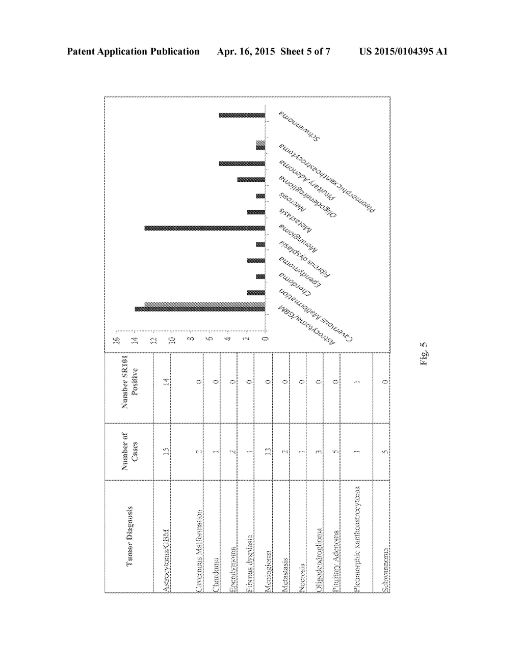 System and Method for Diagnosis of Astrocytic Brain Tumor - diagram, schematic, and image 06