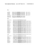 TAILORED RECOMBINASE FOR RECOMBINING ASYMMETRIC TARGET SITES IN A     PLURALITY OF RETROVIRUS STRAINS diagram and image