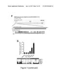 MiRNA-31 AS A DIAGNOSTIC, PROGNOSTIC AND THERAPEUTIC AGENT IN CANCER diagram and image