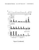 MiRNA-31 AS A DIAGNOSTIC, PROGNOSTIC AND THERAPEUTIC AGENT IN CANCER diagram and image