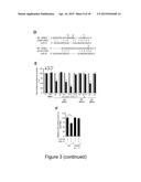 MiRNA-31 AS A DIAGNOSTIC, PROGNOSTIC AND THERAPEUTIC AGENT IN CANCER diagram and image