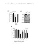 MiRNA-31 AS A DIAGNOSTIC, PROGNOSTIC AND THERAPEUTIC AGENT IN CANCER diagram and image