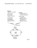 MONOCLONAL ANTIBODY THERAPY FOR PANCREAS CANCER diagram and image