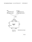 MONOCLONAL ANTIBODY THERAPY FOR PANCREAS CANCER diagram and image