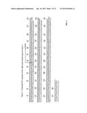 MONOCLONAL ANTIBODY THERAPY FOR PANCREAS CANCER diagram and image