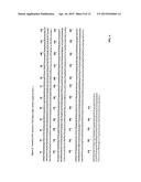 MONOCLONAL ANTIBODY THERAPY FOR PANCREAS CANCER diagram and image