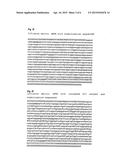 PHARMACEUTICAL COMPOSITION CONTAINING A STABILISED mRNA OPTIMISED FOR     TRANSLATION IN ITS CODING REGIONS diagram and image