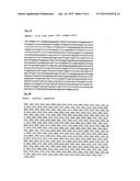 PHARMACEUTICAL COMPOSITION CONTAINING A STABILISED mRNA OPTIMISED FOR     TRANSLATION IN ITS CODING REGIONS diagram and image