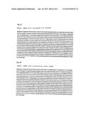 PHARMACEUTICAL COMPOSITION CONTAINING A STABILISED mRNA OPTIMISED FOR     TRANSLATION IN ITS CODING REGIONS diagram and image