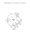 ORGANIC ACID PRODUCTION BY FUNGAL CELLS diagram and image