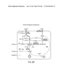 ORGANIC ACID PRODUCTION BY FUNGAL CELLS diagram and image