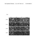 METHOD FOR PRODUCTION OF EOSINOPHIL FROM PLURIPOTENT STEM CELL diagram and image