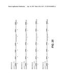 Levels and/or Sustainability of DNA-based Gene Expression diagram and image