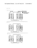 ENGINEERED HETERODIMERIC PROTEIN DOMAINS diagram and image