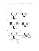 ENGINEERED HETERODIMERIC PROTEIN DOMAINS diagram and image