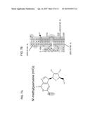 REAL-TIME SEQUENCING METHODS AND SYSTEMS diagram and image