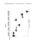 Polypeptide Fragments Comprising Endonuclease Activity and Their Use diagram and image