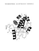 Polypeptide Fragments Comprising Endonuclease Activity and Their Use diagram and image