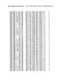 Polypeptide Fragments Comprising Endonuclease Activity and Their Use diagram and image