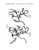 Polypeptide Fragments Comprising Endonuclease Activity and Their Use diagram and image