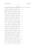 Polypeptide Fragments Comprising Endonuclease Activity and Their Use diagram and image