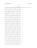 Polypeptide Fragments Comprising Endonuclease Activity and Their Use diagram and image