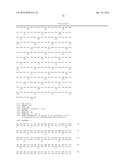 Polypeptide Fragments Comprising Endonuclease Activity and Their Use diagram and image