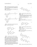 COMBINATIONS OF HISTONE DEACETYLASE INHIBITORS AND IMMUNOMODULATORY DRUGS diagram and image