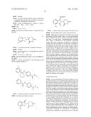 COMBINATIONS OF HISTONE DEACETYLASE INHIBITORS AND IMMUNOMODULATORY DRUGS diagram and image