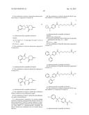 COMBINATIONS OF HISTONE DEACETYLASE INHIBITORS AND IMMUNOMODULATORY DRUGS diagram and image