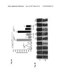 COMPOUNDS AND METHODS FOR REGULATING INTEGRINS diagram and image