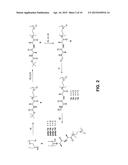 METHOD FOR THE PREPARATION OF HIGH MOLECULAR WEIGHT OLIGO(ALKYLENE GLYCOL)     FUNCTIONALIZED POLYISOCYANOPEPTIDES diagram and image