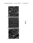 METHOD FOR THE PREPARATION OF HIGH MOLECULAR WEIGHT OLIGO(ALKYLENE GLYCOL)     FUNCTIONALIZED POLYISOCYANOPEPTIDES diagram and image