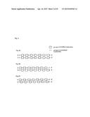 INTERFERING RNA MOLECULES diagram and image