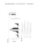 INTERFERING RNA MOLECULES diagram and image