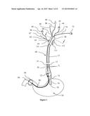 Endoscope Accessory diagram and image