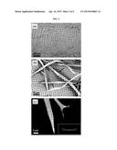FIBER-REINFORCED HYDROGEL COMPOSITES AND METHODS OF FORMING     FIBER-REINFORCED HYDROGEL COMPOSITES diagram and image
