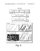 BOX COUNTING ENHANCED MODELING diagram and image