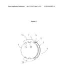 STRUCTURE FOR GUNPOWDER CHARGE IN MULTI-FRAC COMPOSITE PERFORATING DEVICE diagram and image