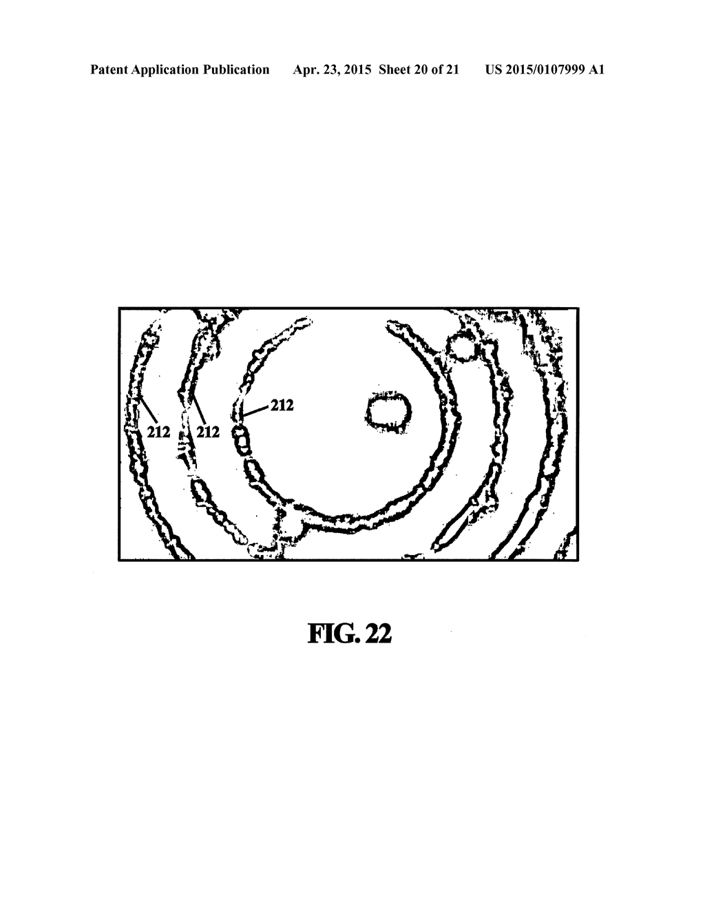 Apparatus for Pathogen Detection - diagram, schematic, and image 21