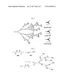 METHOD FOR PREPARING CROSS-LINKED HYPERBRANCHED POLYAMIDOAMINE PARTICLES     USING REVERSE PHASE SUSPENSION POLYMERIZATION AND PRECURSOR diagram and image