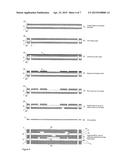 METHOD OF MAKING A FLEXIBLE CIRCUIT diagram and image