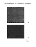 SYNTHESIS OF MAGNETIC CARBON NANORIBBONS AND MAGNETIC FUNCTIONALIZED     CARBON NANORIBBONS diagram and image