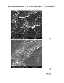 SYNTHESIS OF MAGNETIC CARBON NANORIBBONS AND MAGNETIC FUNCTIONALIZED     CARBON NANORIBBONS diagram and image