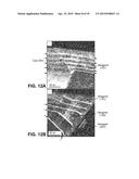 GROWTH OF CUBIC CRYSTALLINE PHASE STRUCURE ON SILICON SUBSTRATES AND     DEVICES COMPRISING THE CUBIC CRYSTALLINE PHASE STRUCTURE diagram and image