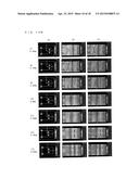 PIEZOELECTRIC DEVICE diagram and image