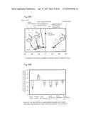 MOTION GUIDE PRESENTATION METHOD AND SYSTEM THEREFOR, AND MOTION GUIDE     PRESENTATION DEVICE diagram and image