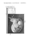 SYSTEMS AND METHODS FOR COMPUTATIONAL LIGHTING diagram and image